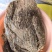新鲜冷冻优质半成品牛肉块整箱20斤带筋牛肉牛肉块饭店卤菜