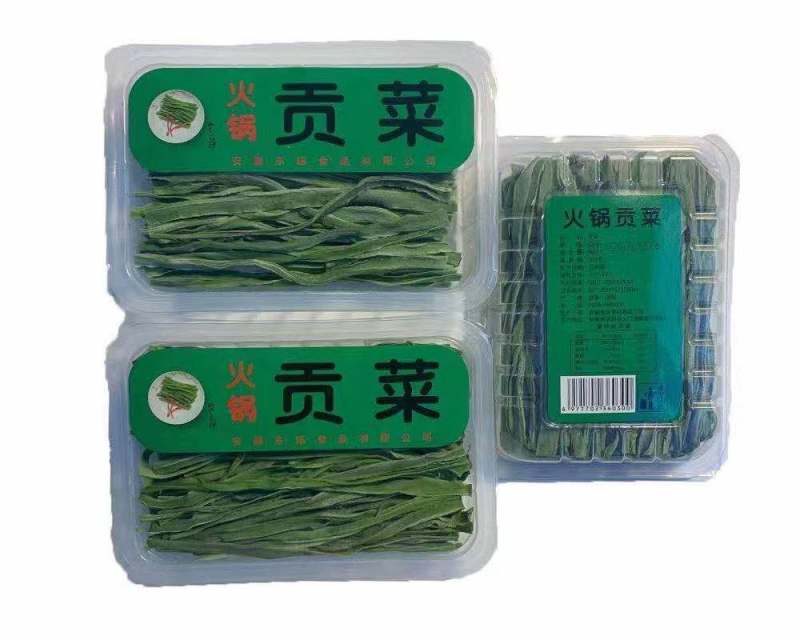 2.5公分贡菜到15公分的长年供应