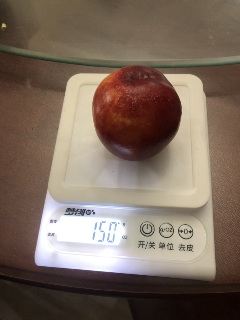 农村油桃，红宝石，中油6号，早19号
