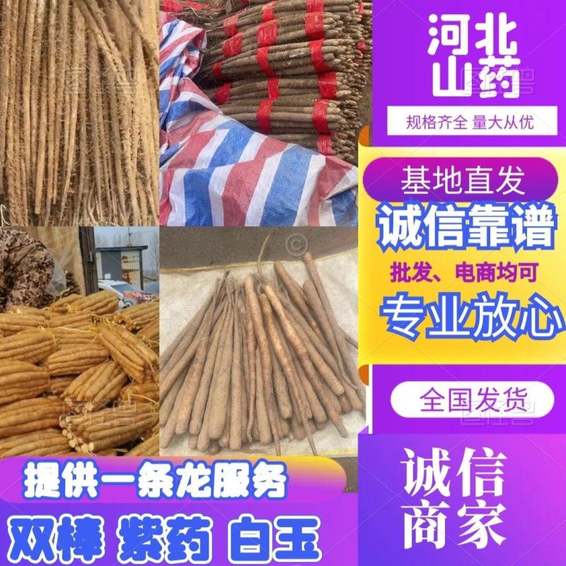 【专注电商】河北白玉山药规格齐全紫药白玉双棒全国发货
