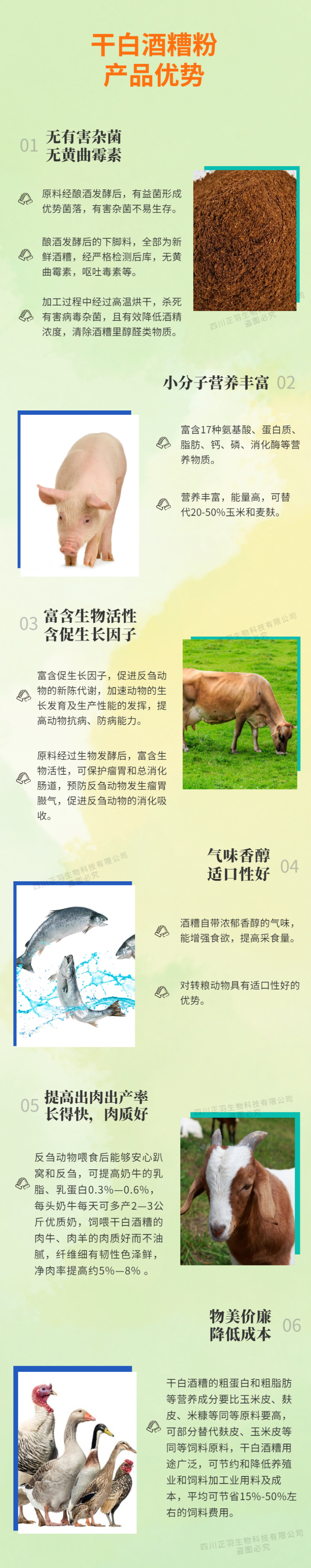 浓香干酒糟粉蛋白13，烘干白酒糟粉饲料原料，酒糟厂家