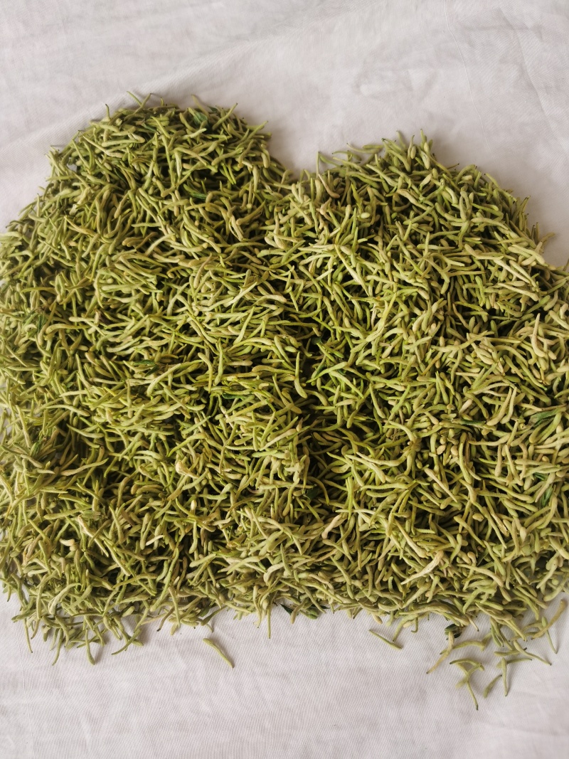 甘肃四季金银花，产地直发，量大从优，欢迎各位老板咨询