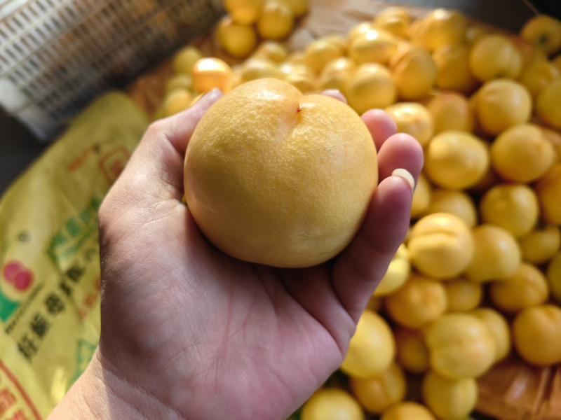 蒙阴黄油桃新鲜黄桃油桃新鲜黄油桃大量代办