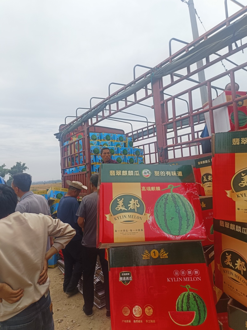 万荣千亩大棚无籽美都含糖十三，货价期两个月。