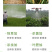 里瓦克-精油助剂（货源充足诚信合作欢迎咨询）