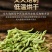 新货金银花散装金银花茶河南封丘金银花