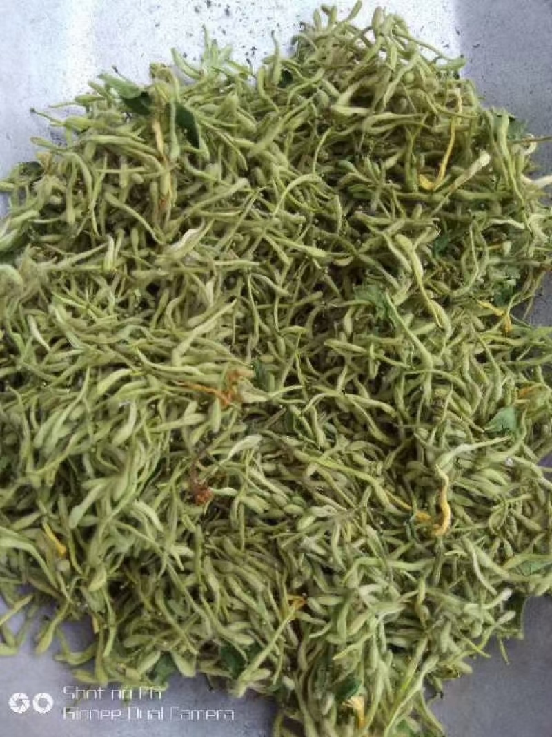 金银花产新