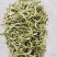 金银花产新