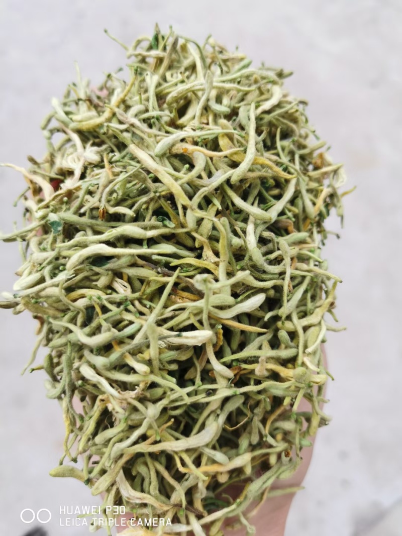 金银花产新