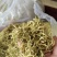 金银花产新