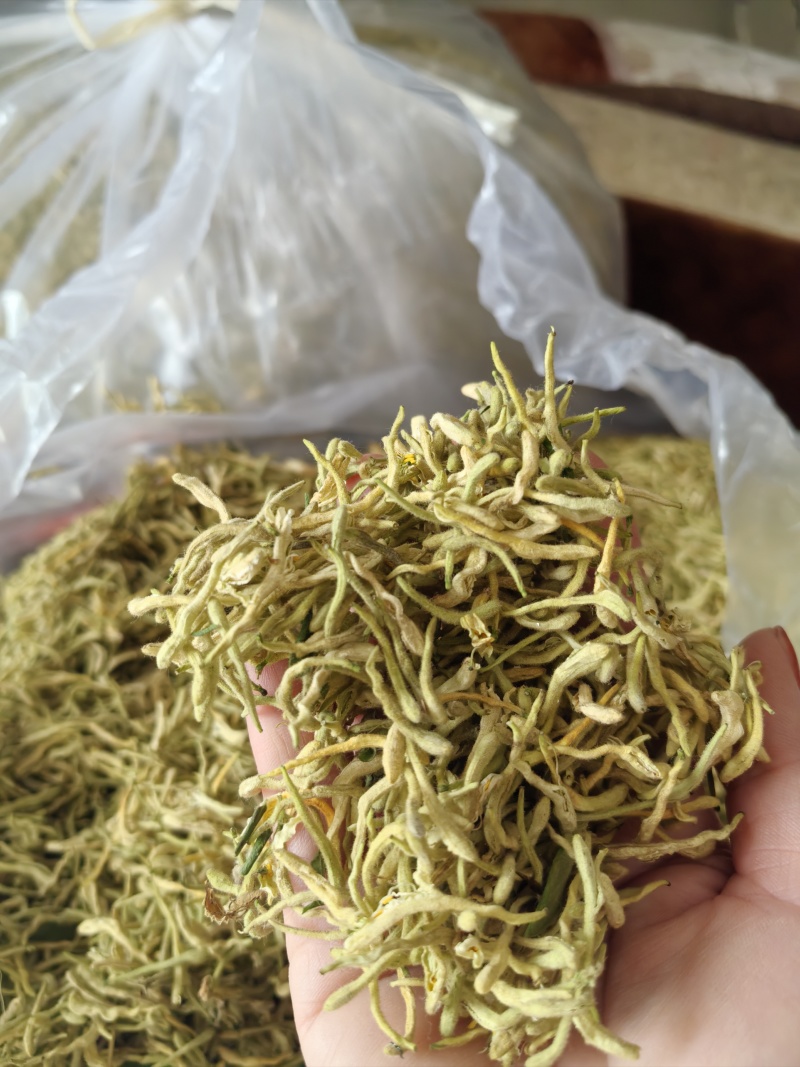 金银花产新
