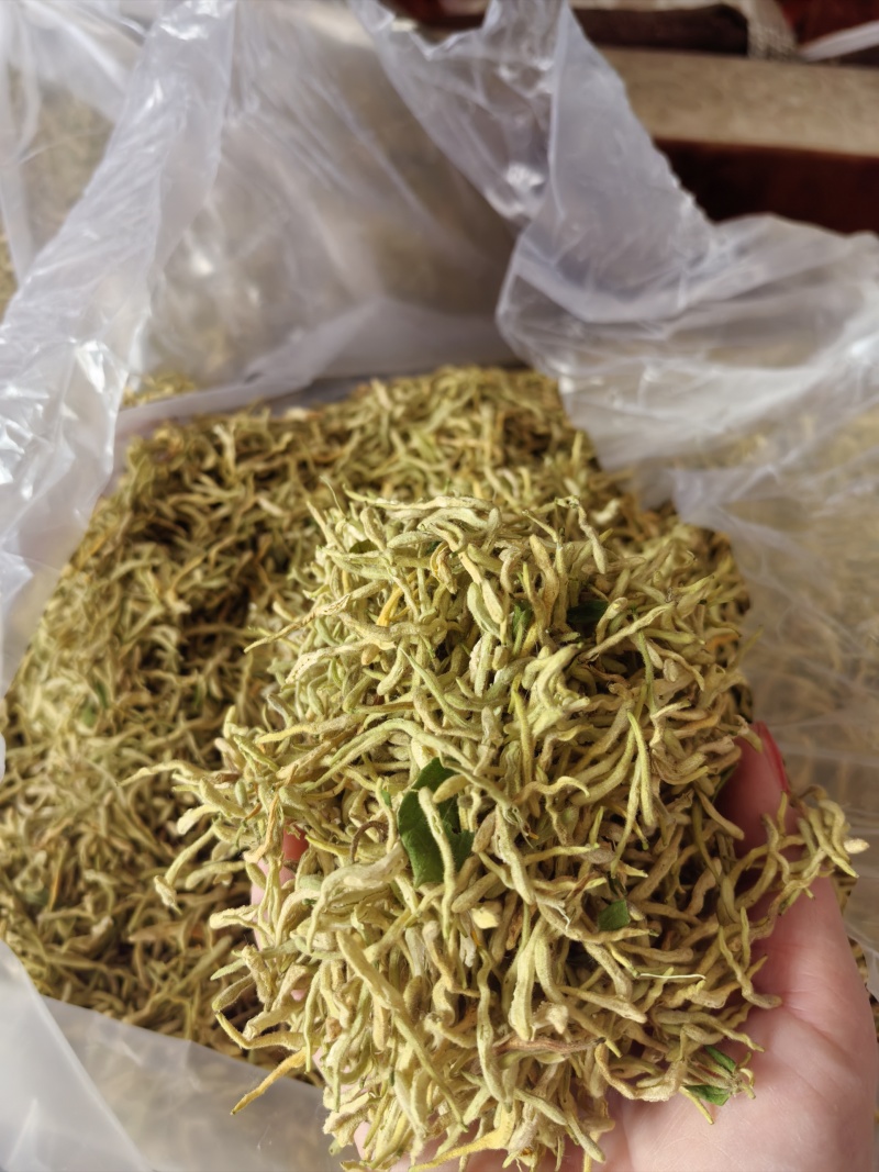 金银花产新