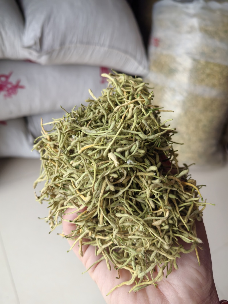 金银花产新