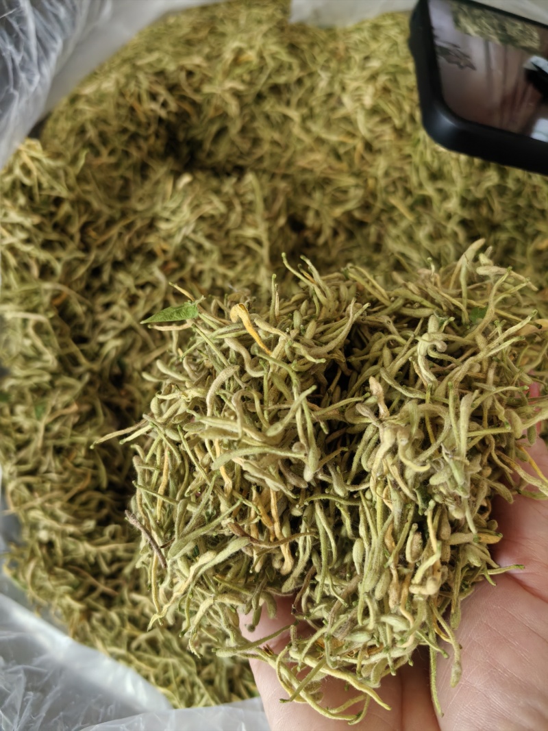 金银花产新