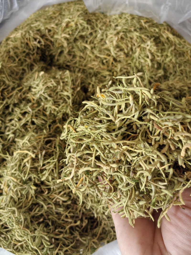 金银花产新