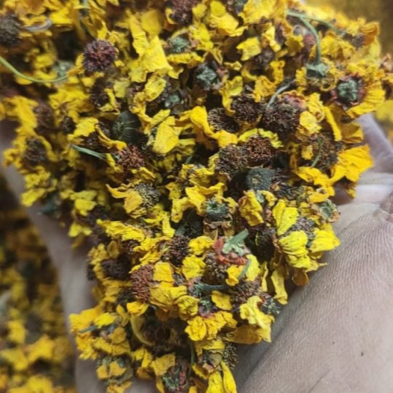 昆仑雪菊