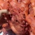 猪头肉全熟卤味青猪猪头肉