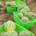 《推荐》四川绵阳安州区美都西瓜，自家种植品质保证欢迎采购