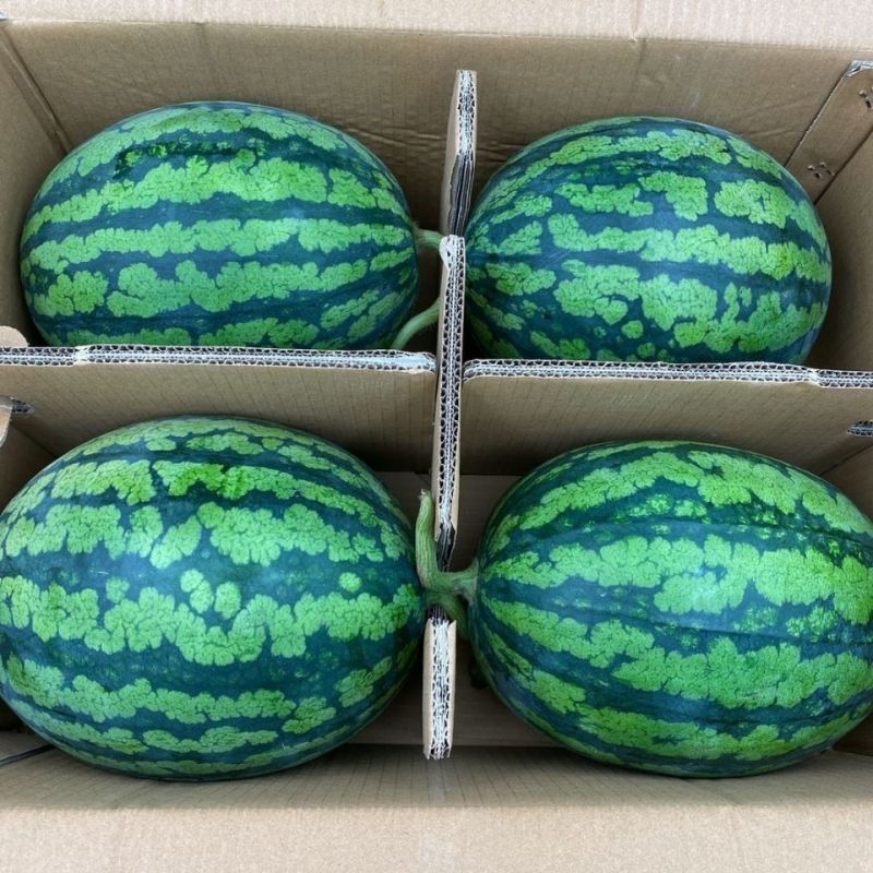 甘美4K西瓜薄皮手撕西瓜对接市场，电商，社区团购，连锁商