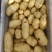 精品土豆一手货源货源充足量大从优欢迎咨询