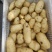精品土豆一手货源货源充足量大从优欢迎咨询