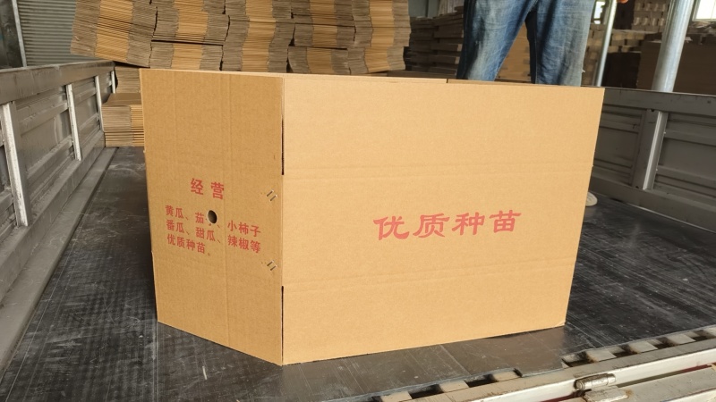 纸箱包装箱彩箱鸡蛋箱水果箱蔬菜纸箱