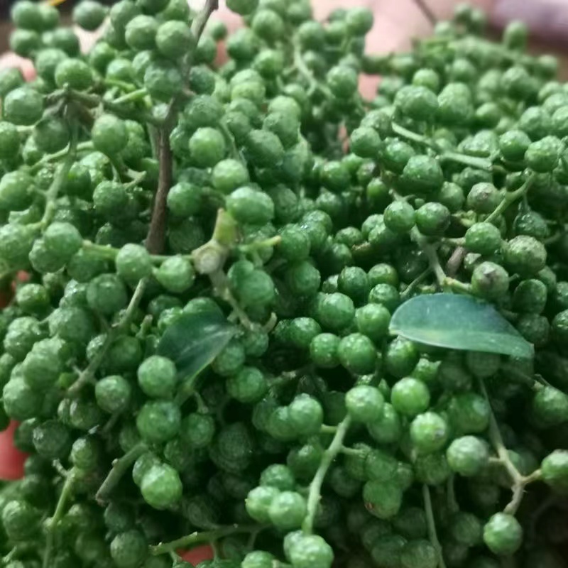 云南青花椒鲜花椒干花椒大量供应，诚信经营