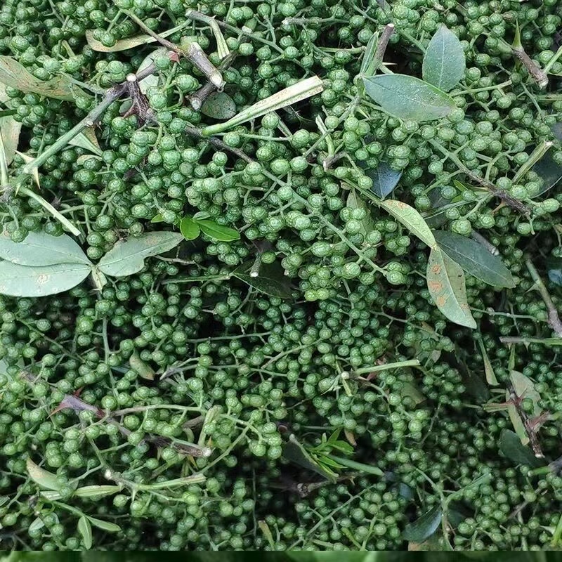 云南青花椒鲜花椒干花椒大量供应，诚信经营