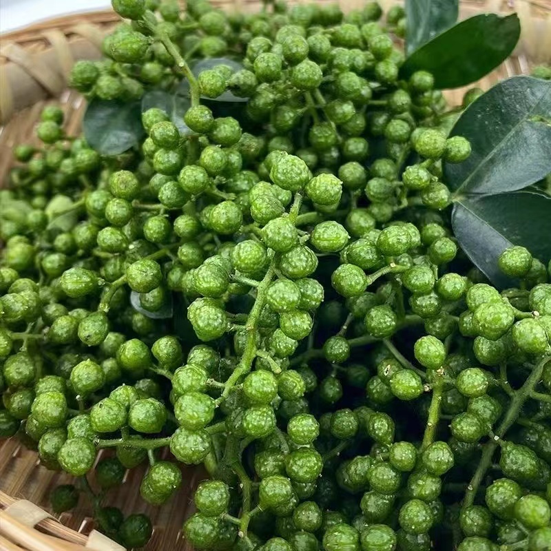 云南青花椒鲜花椒干花椒大量供应，诚信经营