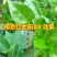 南京-红太阳A8改性聚有机硅助剂
