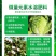 德国康朴液朋微量元素水溶肥