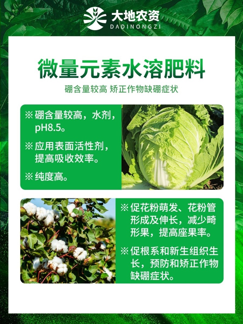 德国康朴液朋微量元素水溶肥