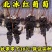 北冰红山葡萄苗品种纯真基地直发根系发达成活率高提供技术