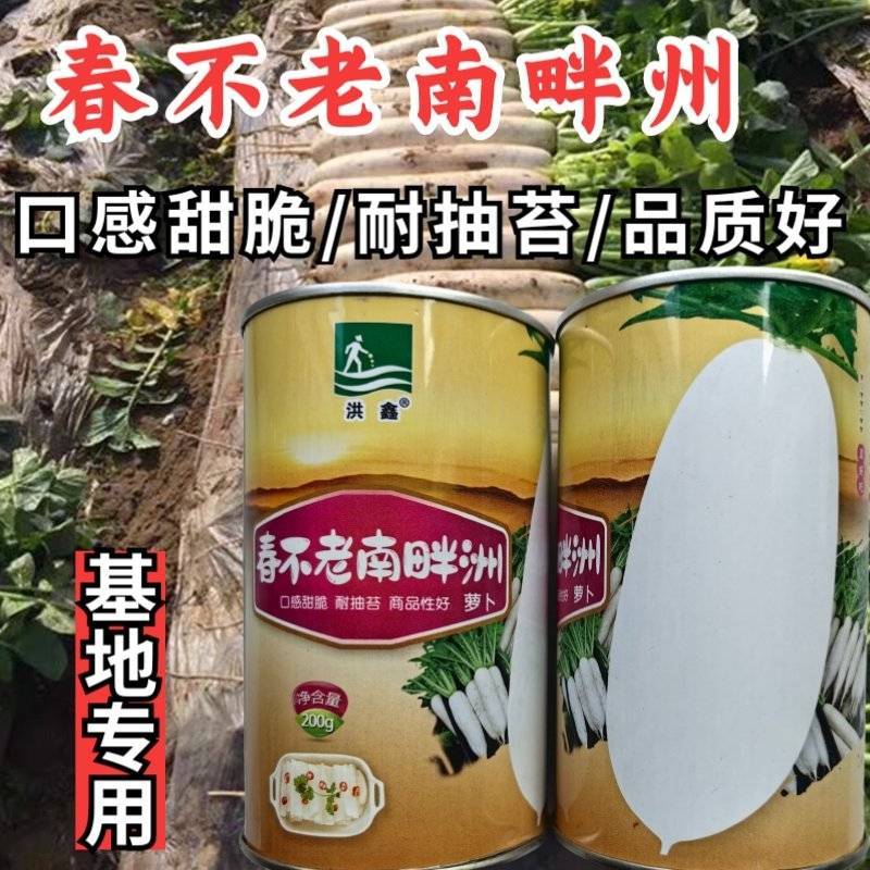 南畔洲白萝卜种子春不老白水果甜脆耐抽苔萝卜夏秋播萝卜种子