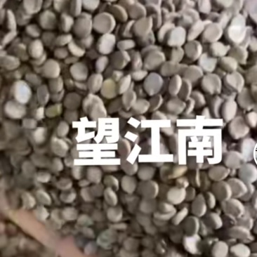 望江南