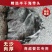 地摊展会火爆产品半干海带头，厂家直供，欢迎来电