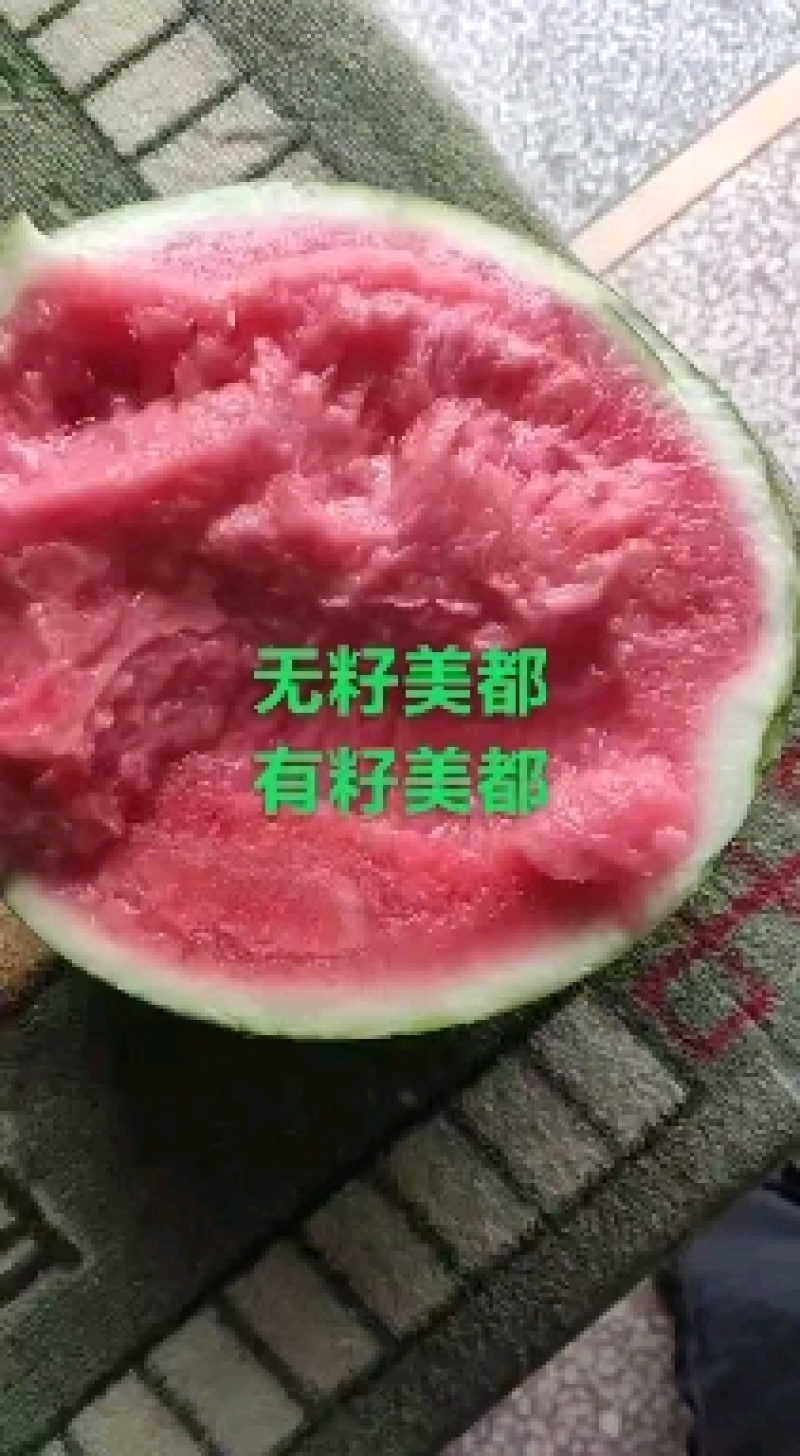 湖南常德澧县精品大棚无籽+有籽美都大量走货中