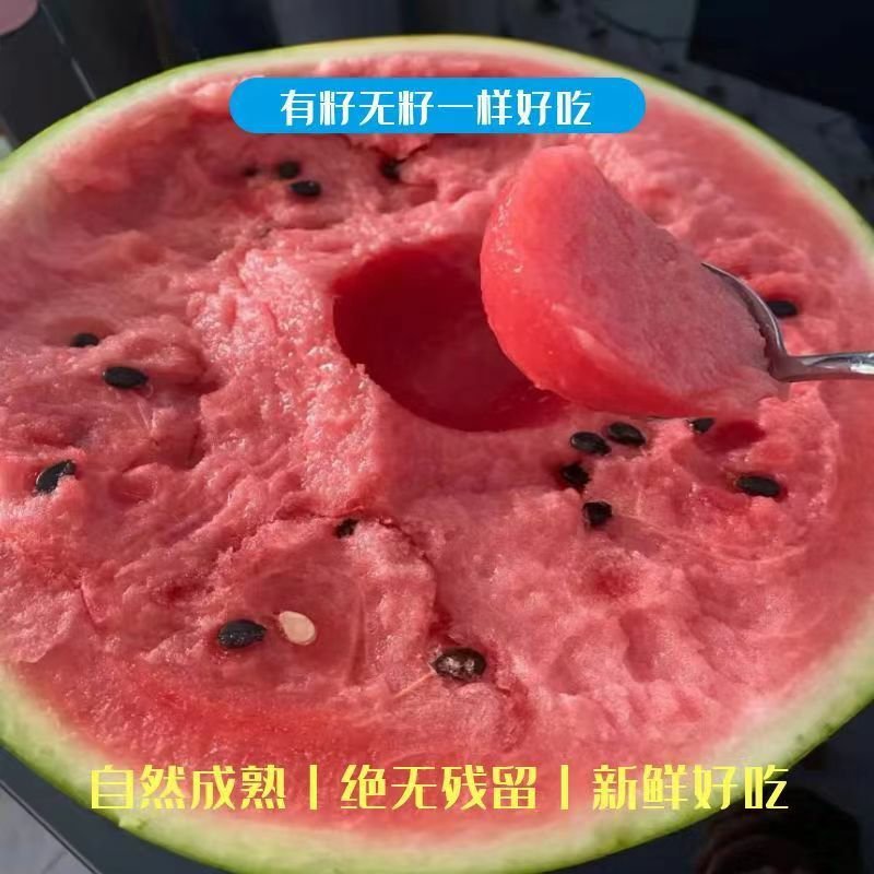 湖南常德澧县精品大棚无籽+有籽美都大量走货中