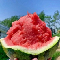 湖南常德澧县精品大棚无籽+有籽美都大量走货中