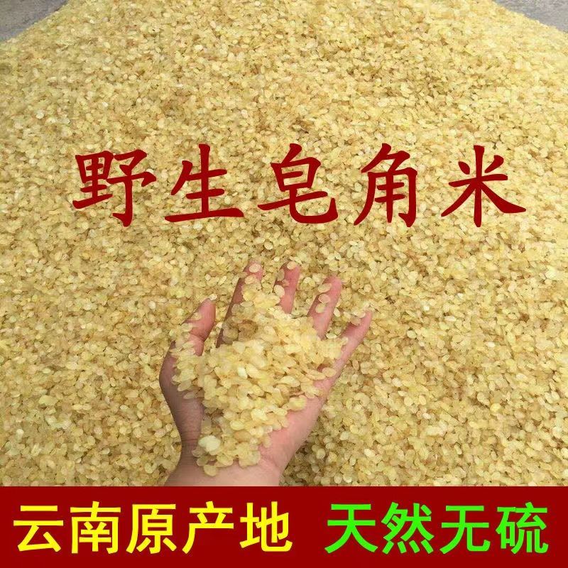 皂角米500g克正宗云南单荚雪莲子非双荚搭配桃胶雪燕银耳