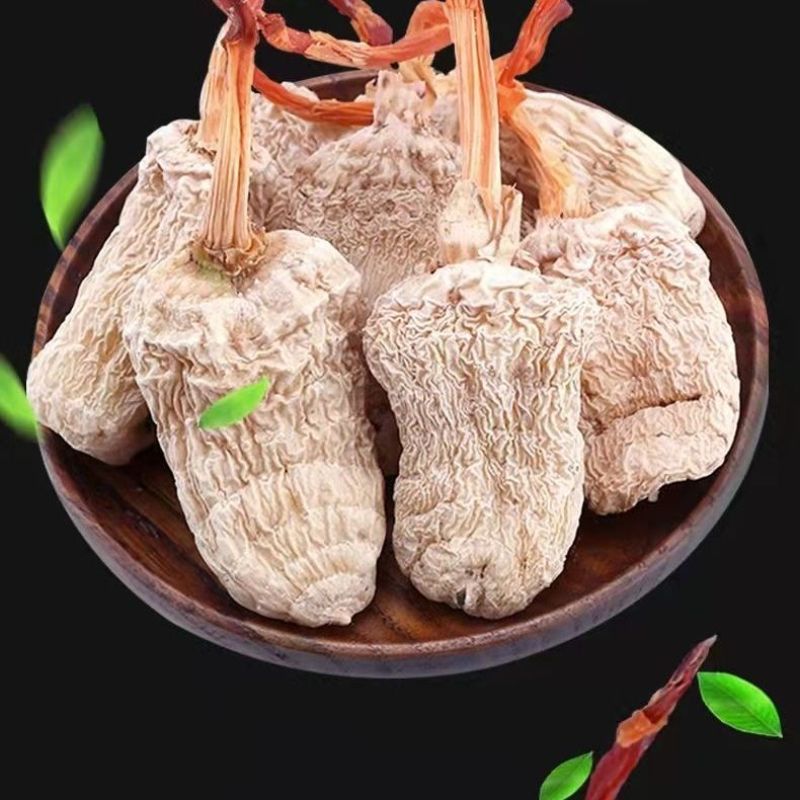 正宗天麻云南深山天然野生昭通小草坝超细粉代切片2