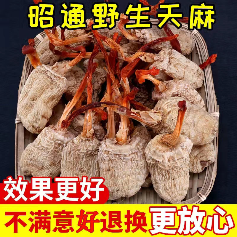 正宗天麻云南深山天然野生昭通小草坝超细粉代切片2