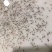 南美白对虾苗淡化快大一代苗工厂化技术指导虾场直发