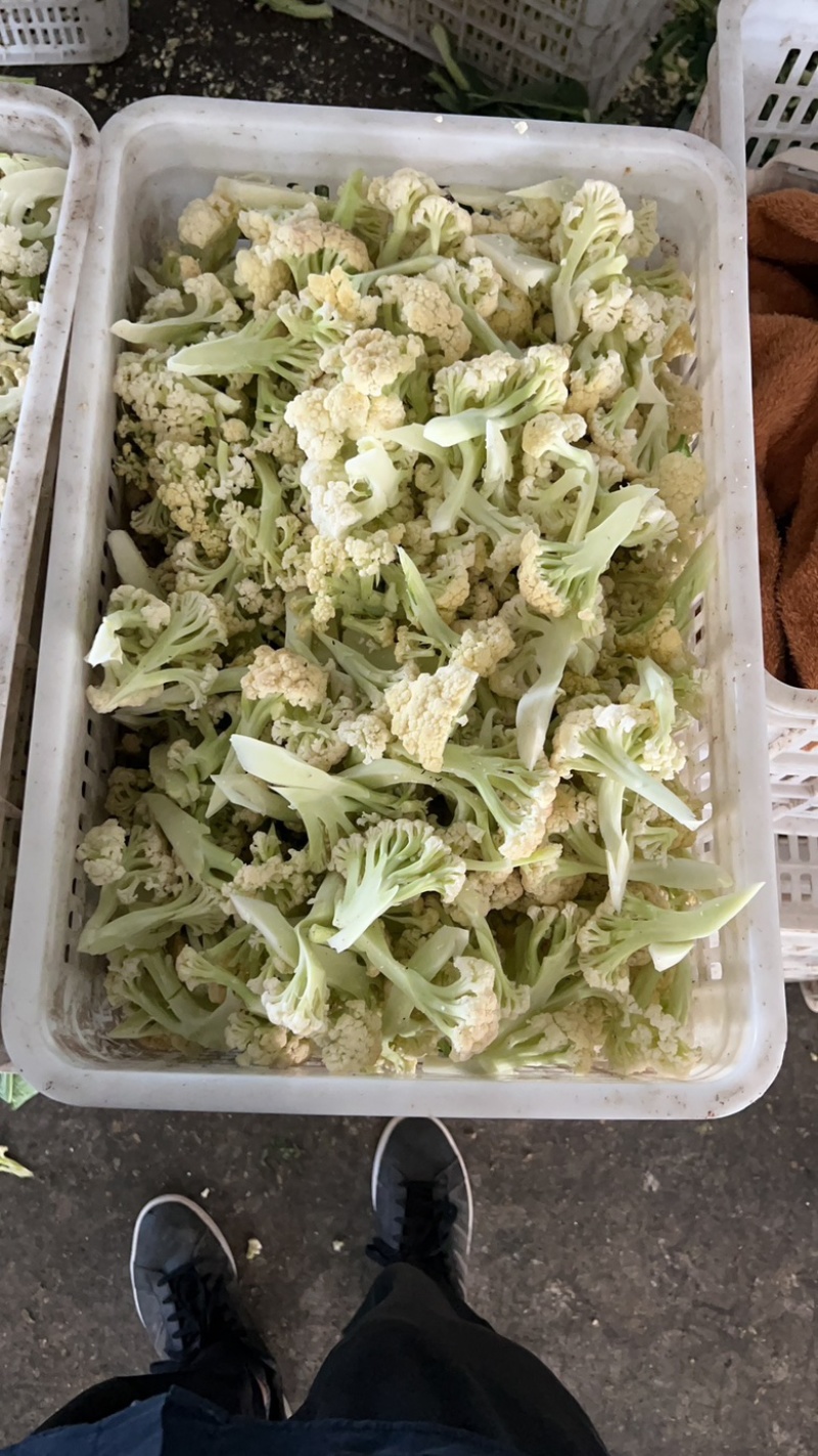 精品花菜干