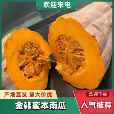 蜜本南瓜5-15斤长期大量供应，颜色紫红，保证质量OK