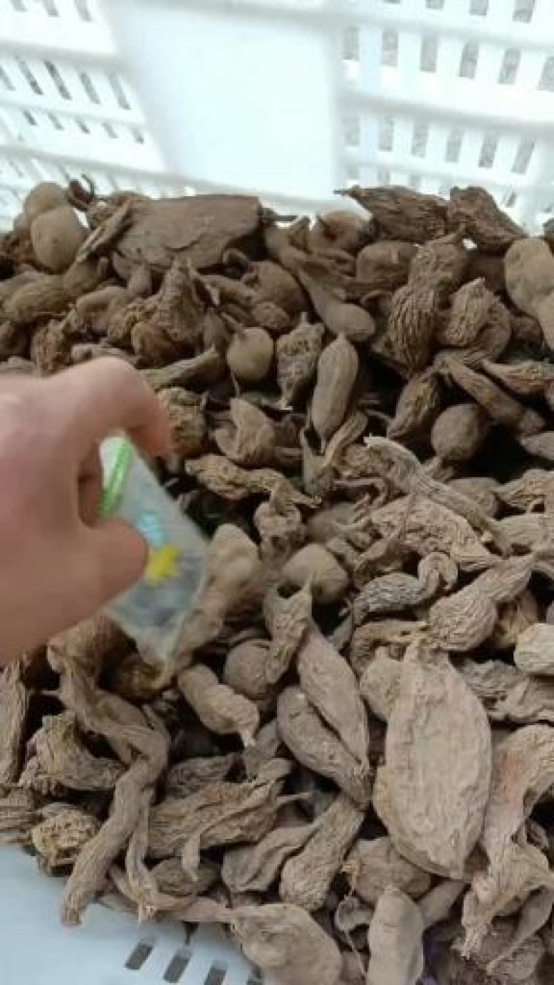 金果榄块茎出售，欢迎需要老板咨询订购