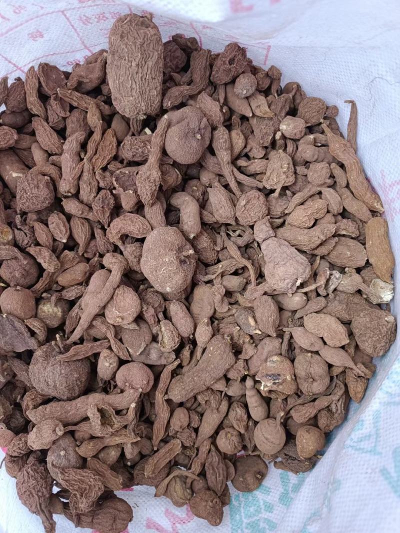 金果榄块茎出售，欢迎需要老板咨询订购