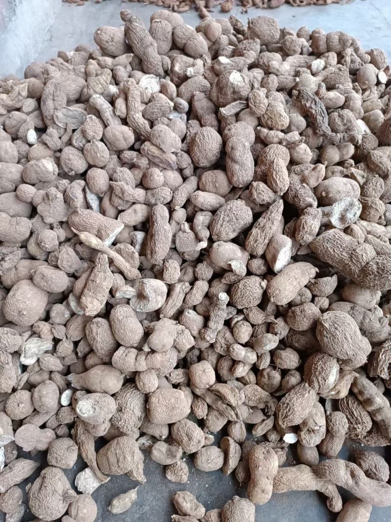 金果榄块茎出售，欢迎需要老板咨询订购