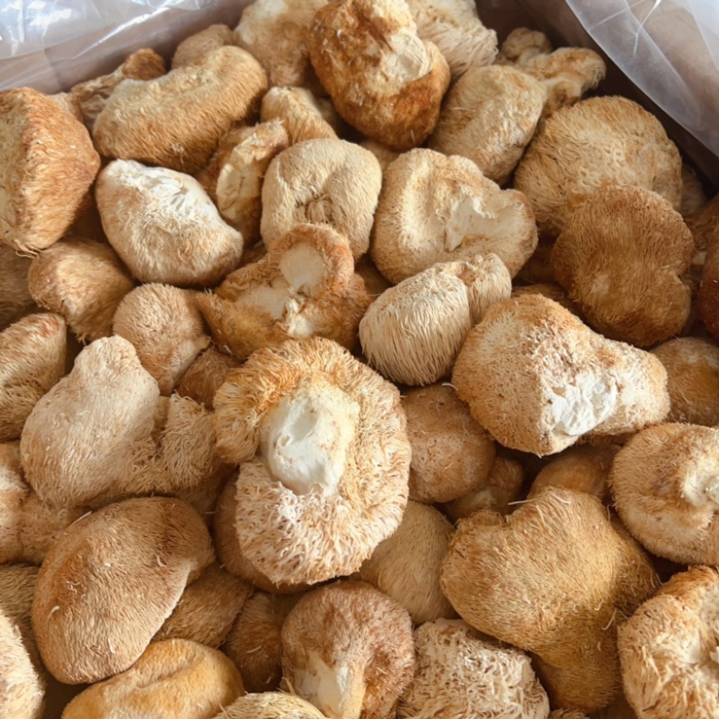 猴头菇展会地摊电商长白山猴头菇干干猴头菇