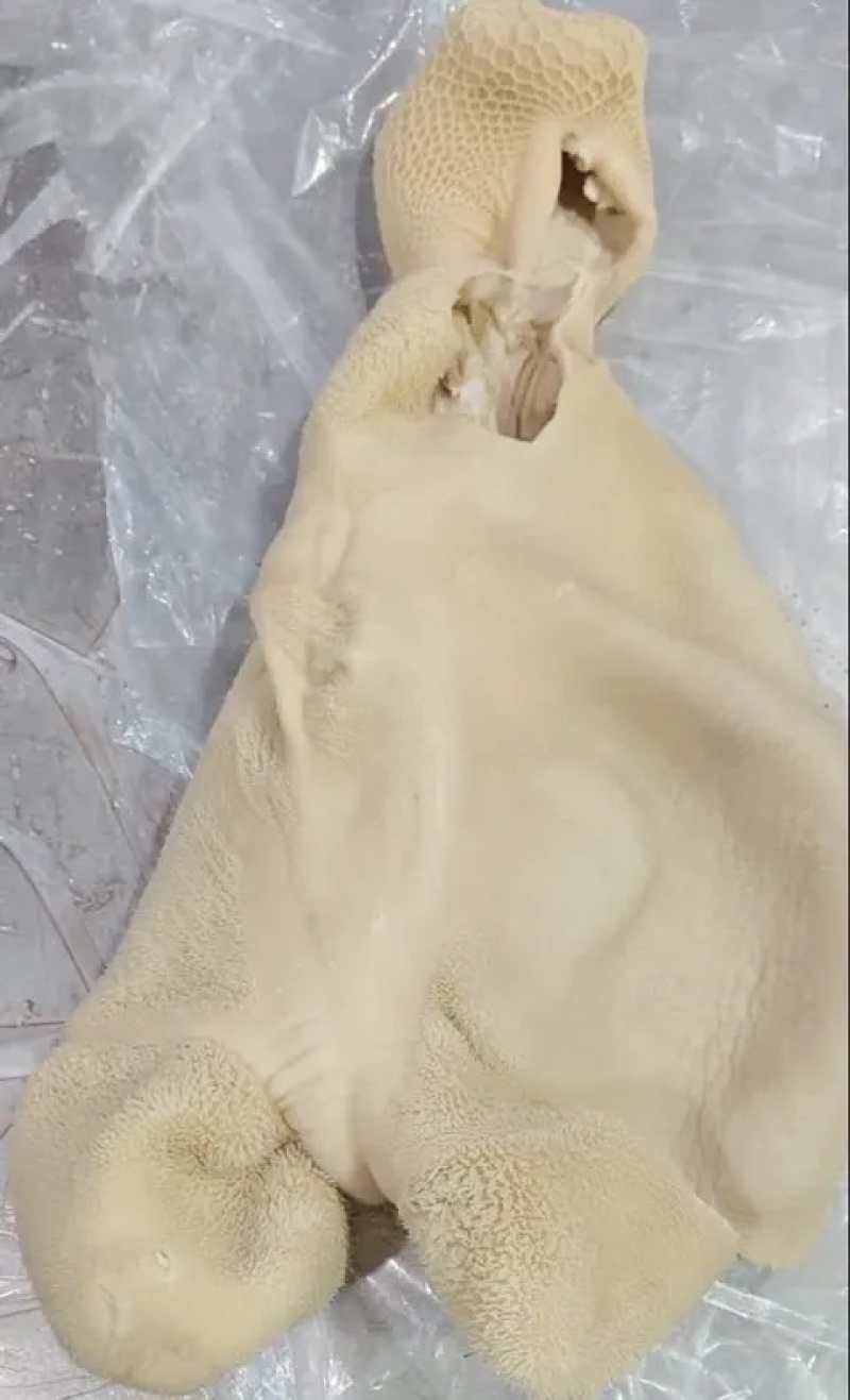 三哥牛一手货源68厂牛肚4个装6个装119厂牛肚厂家直供